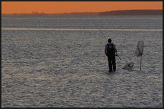 Abends am Bodden..