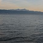 Abends am Bodensee