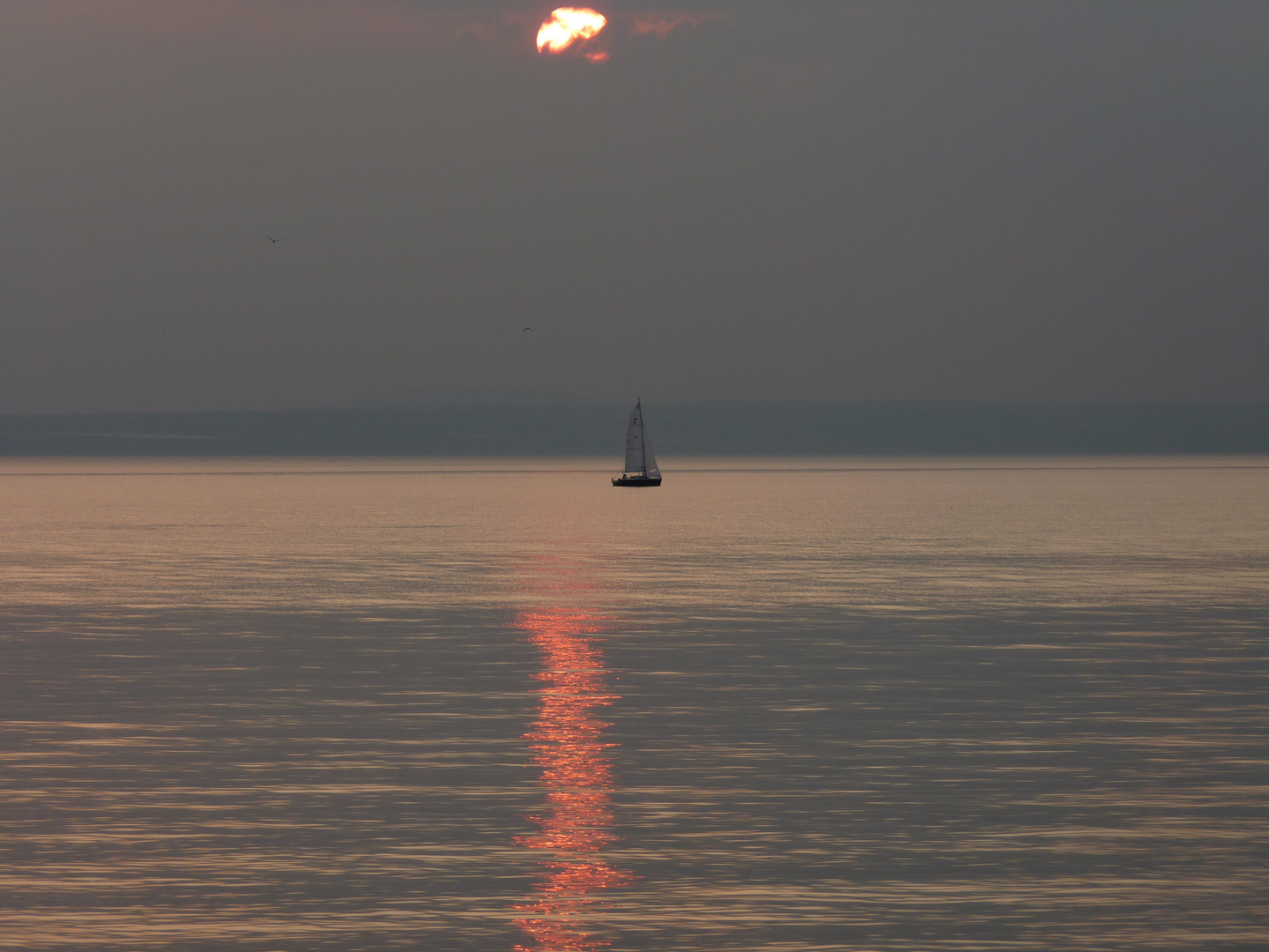 Abends am Bodensee