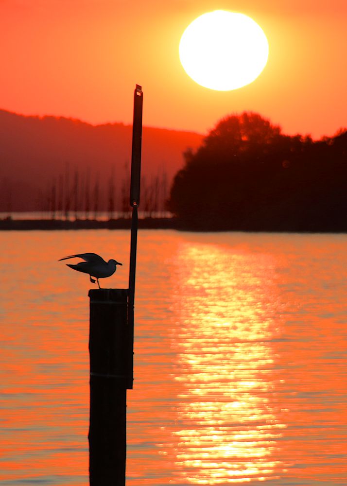 Abends am Bodensee