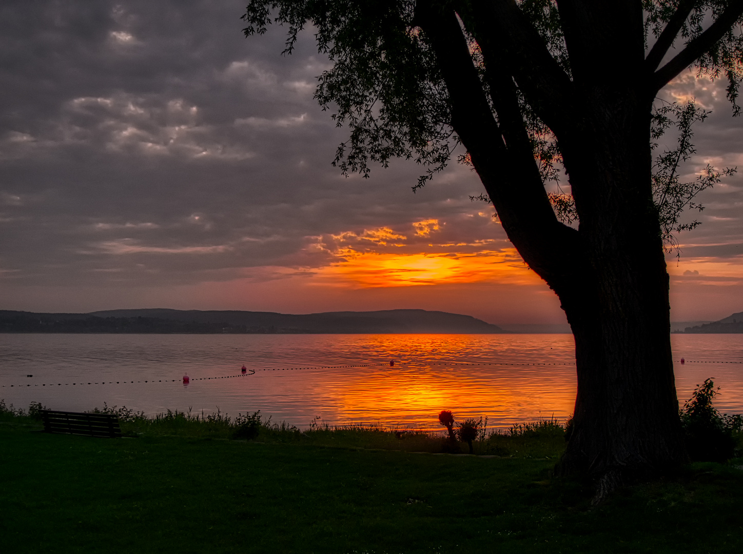 Abends am Bodensee