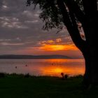 Abends am Bodensee