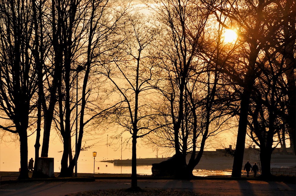 abends am BODENSEE