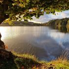 Abends am Brunnweiher (1)