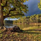 Abends am Brunnweiher (2)