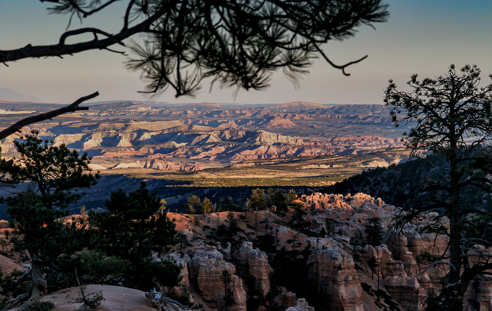 Abends am Bryce Canyon