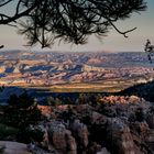 Abends am Bryce Canyon