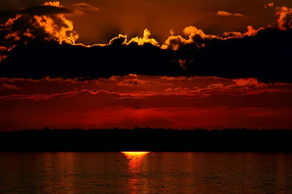 Abends am Chiemsee (2 Gruppen von Enten fliegen hier fast syncron)