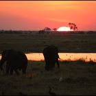 Abends am Chobe River