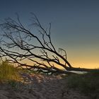 Abends am Darßer Weststrand