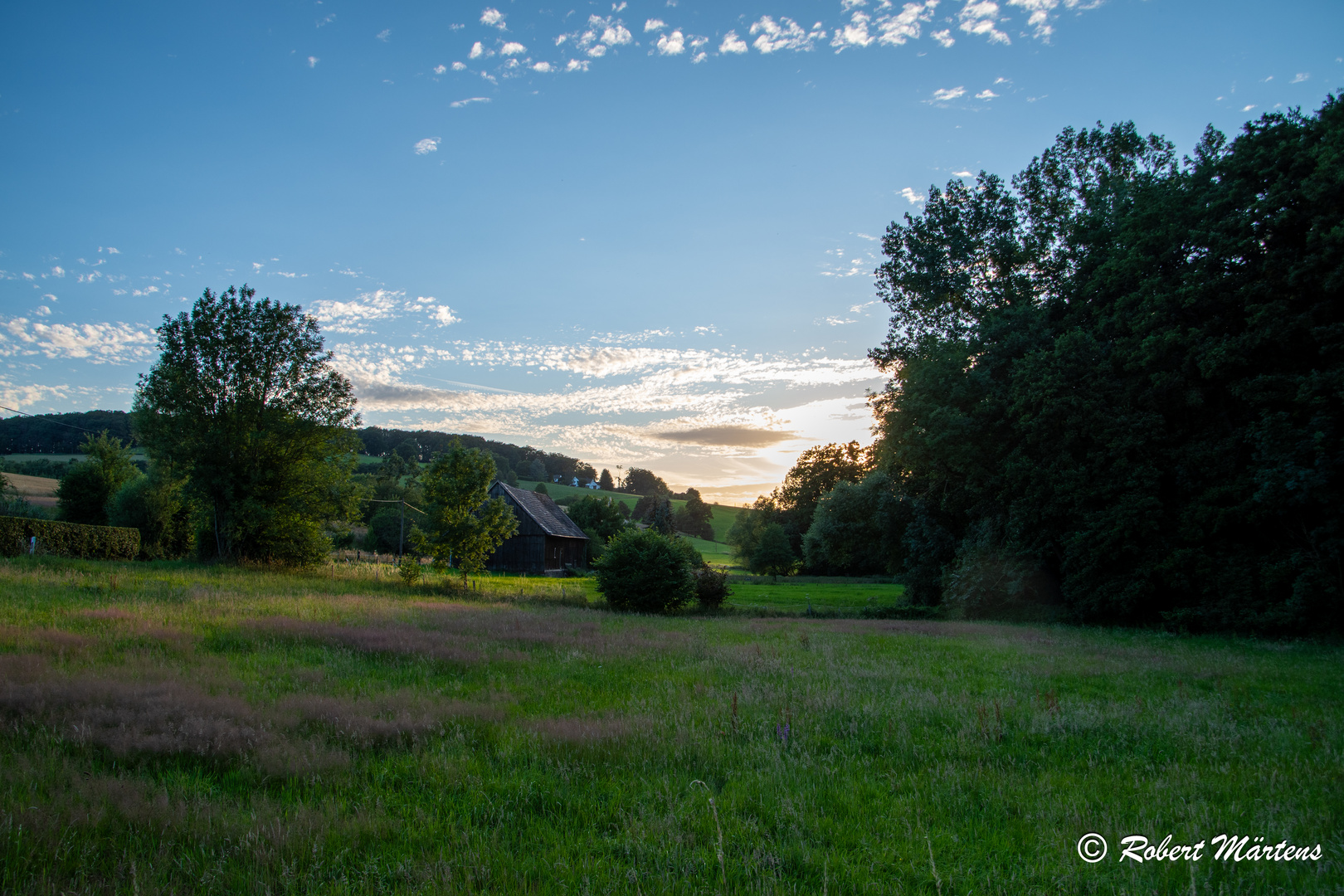 Abends am Deilbach