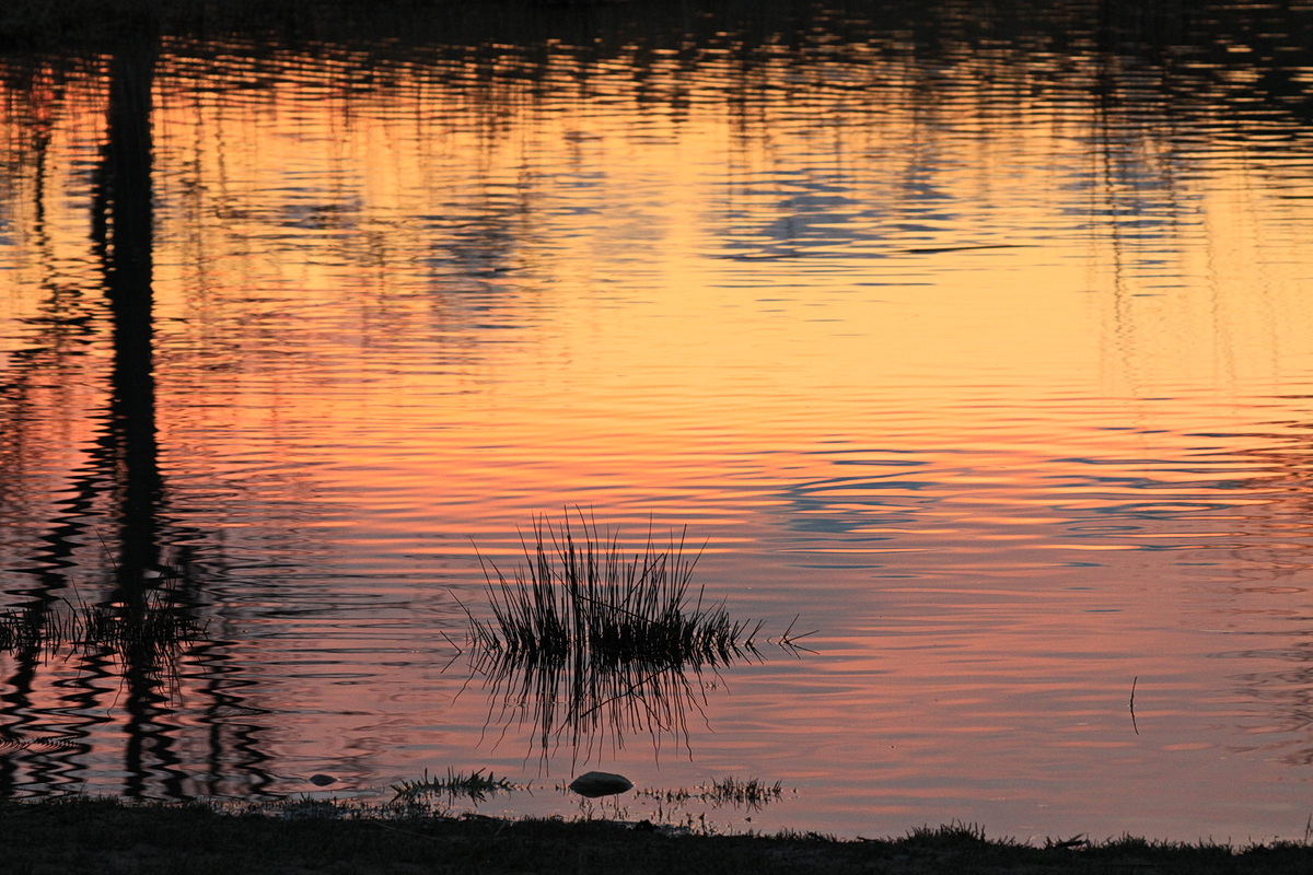 Abends am Dorfteich