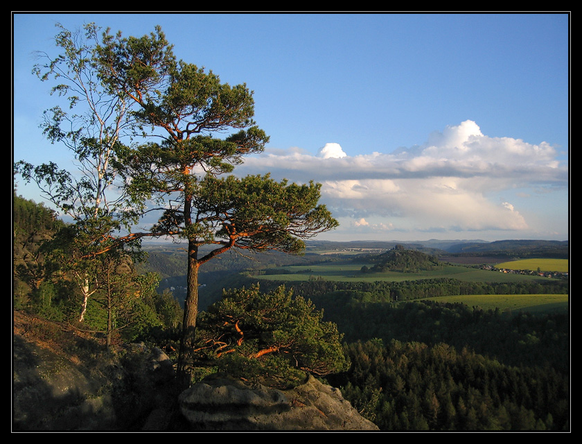 Abends am Elbufer