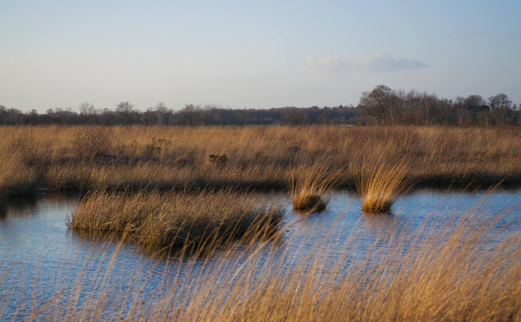 Abends am Ewigen Meer