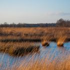 Abends am Ewigen Meer