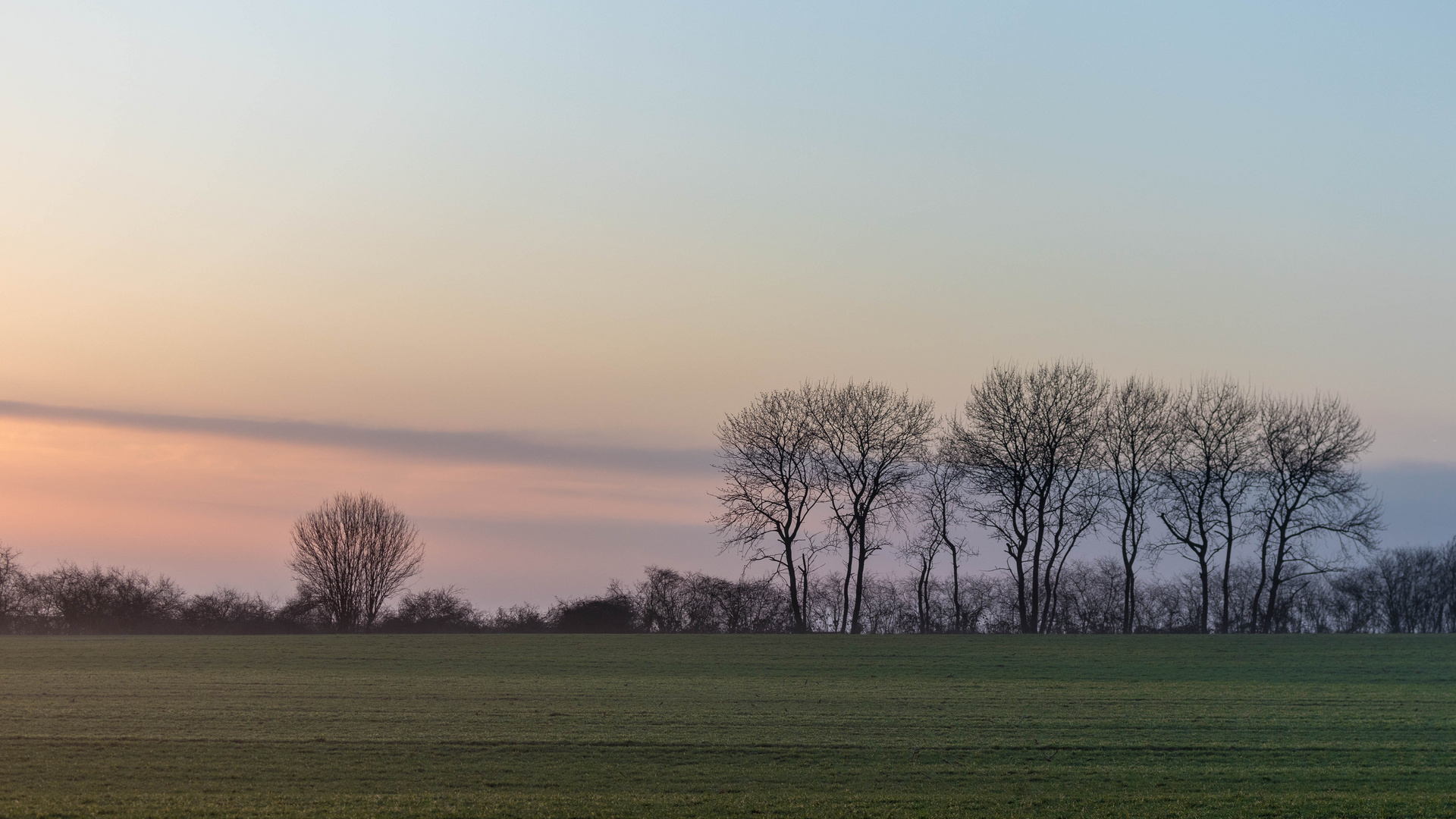 Abends am Feld