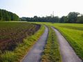 Abends am Feld by Von der Dinkelheide 