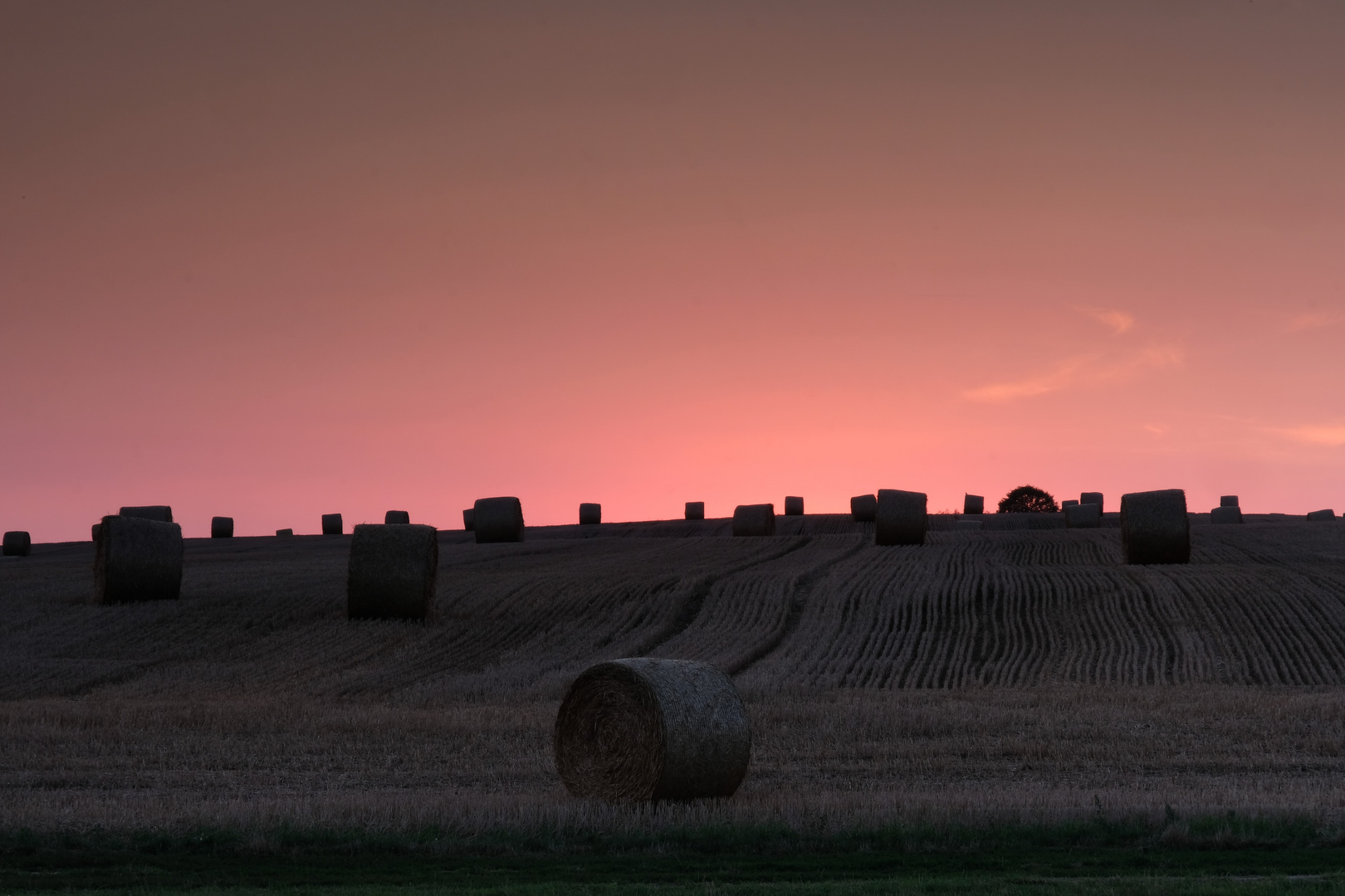 Abends am Feld