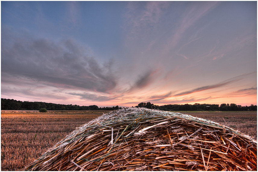 Abends am Feld..