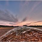 Abends am Feld..