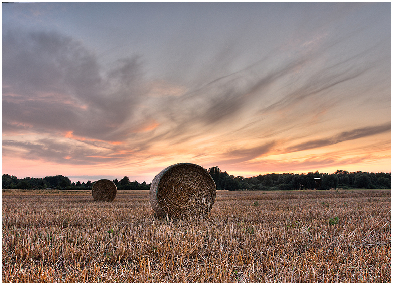 Abends am Feld