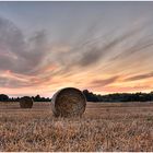 Abends am Feld