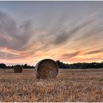 Abends am Feld