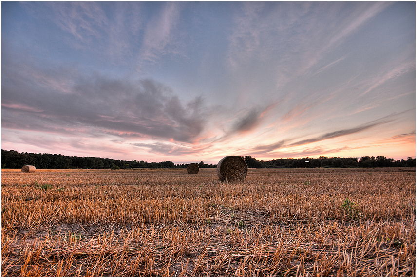 Abends am Feld.