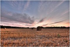 Abends am Feld.