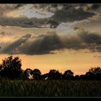 Abends am Feld