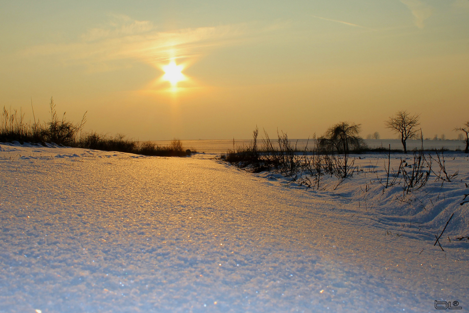 Abends am Feldrand