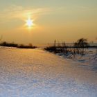 Abends am Feldrand