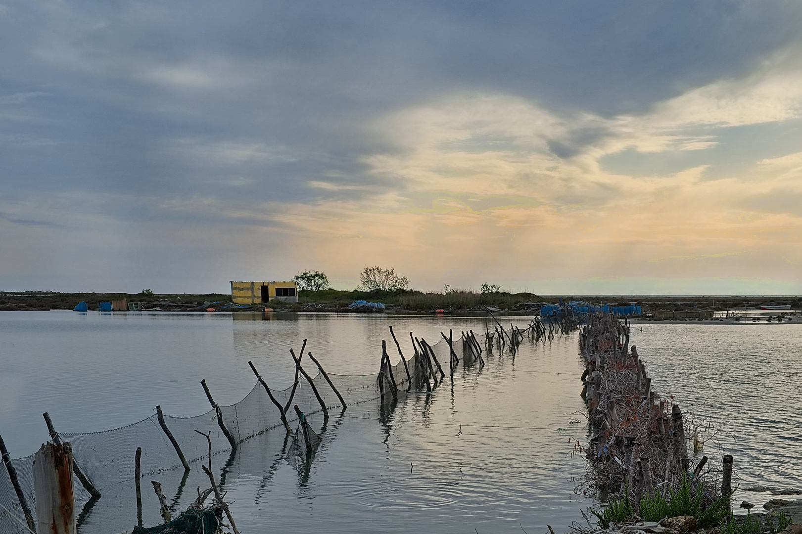 Abends am Fischteich