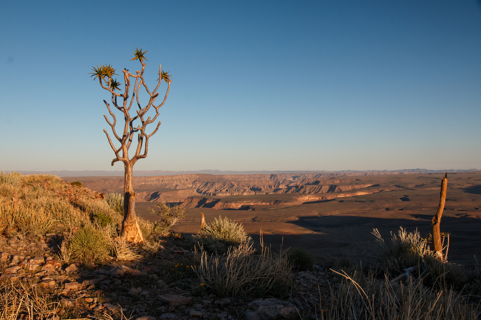 Abends am Fish River Canyon 2