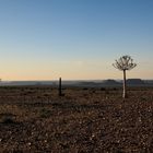 Abends am Fish River Canyon