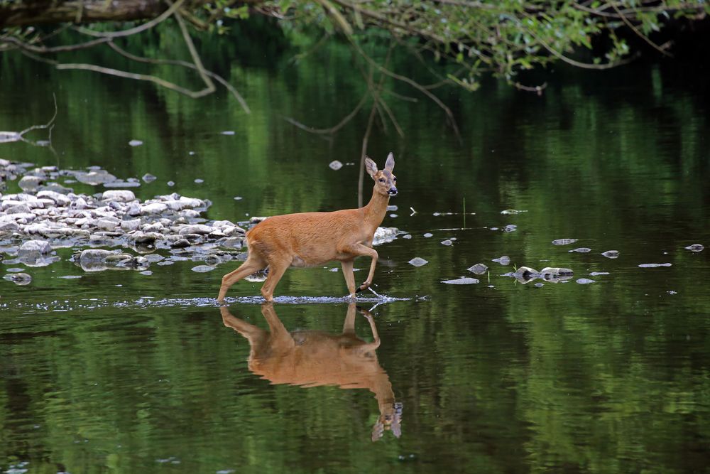 Abends am Fluss