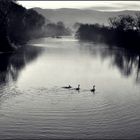 abends am Fluss