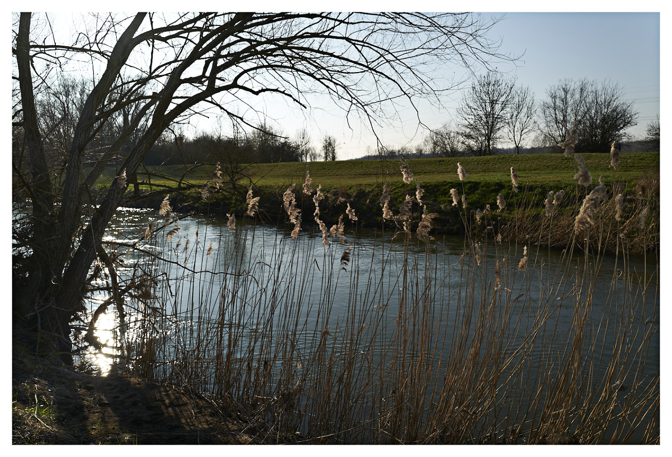 Abends am Fluss...