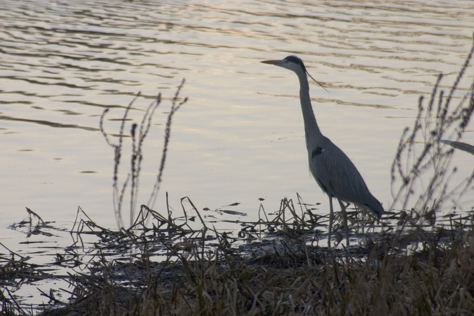 Abends am Flussufer