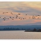 Abends am Galenbecker See