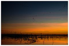 Abends am Galenbecker See