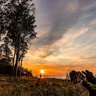 Abends am Gespensterwald Nienhagen