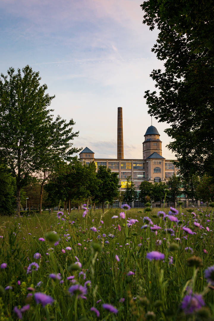 Abends am Glaspalast 