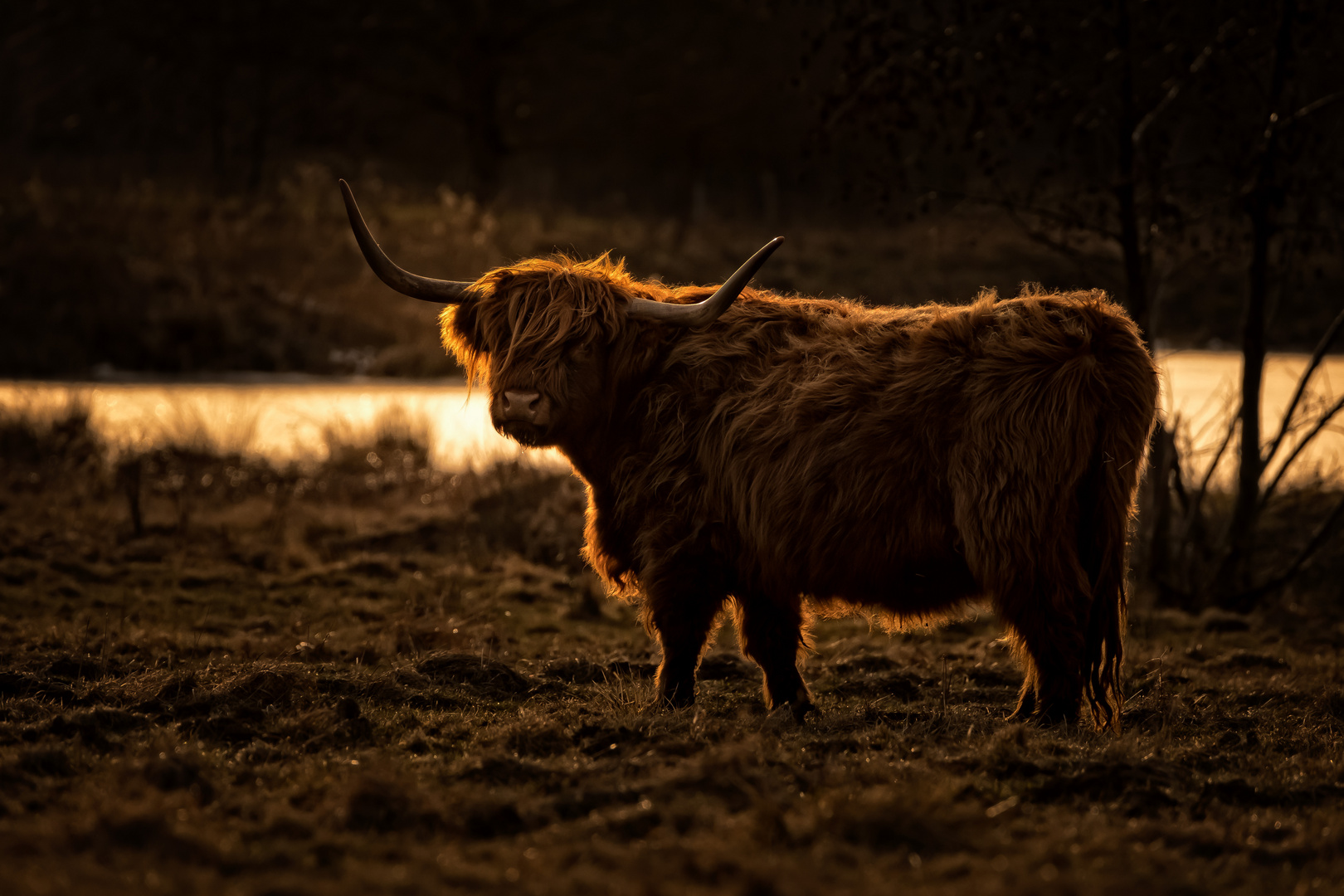 Abends am Glockenborn