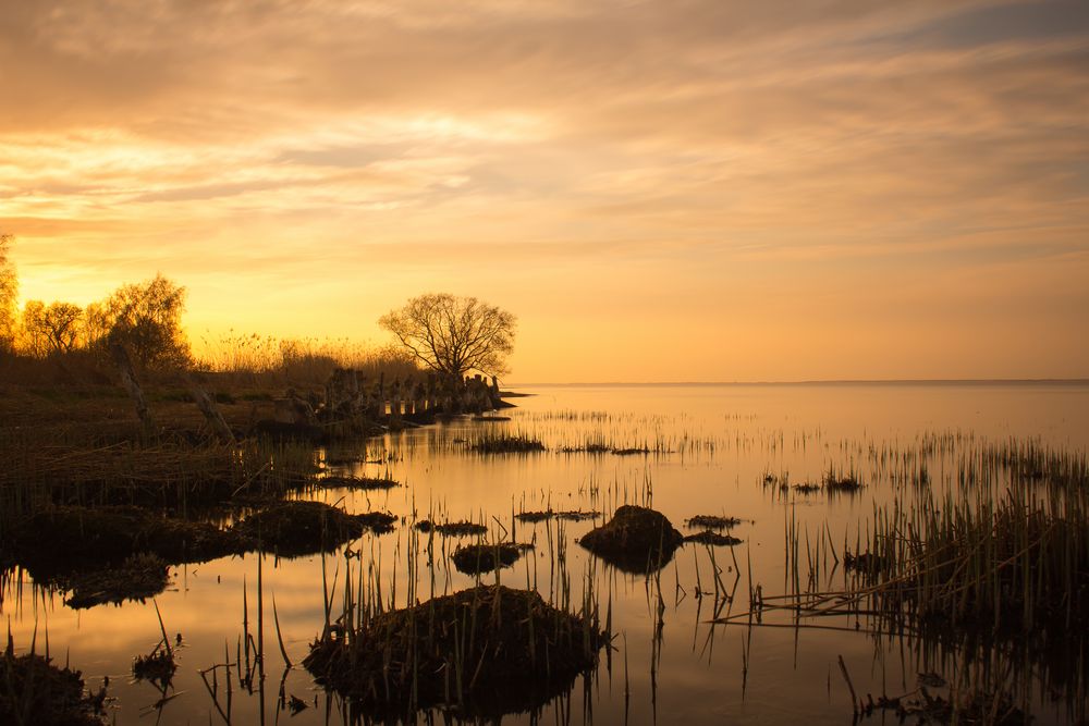 Abends am Grambiner Haff 2