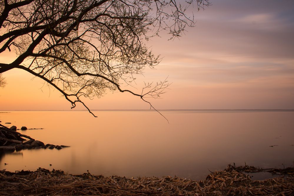 Abends am Grambiner Haff 3