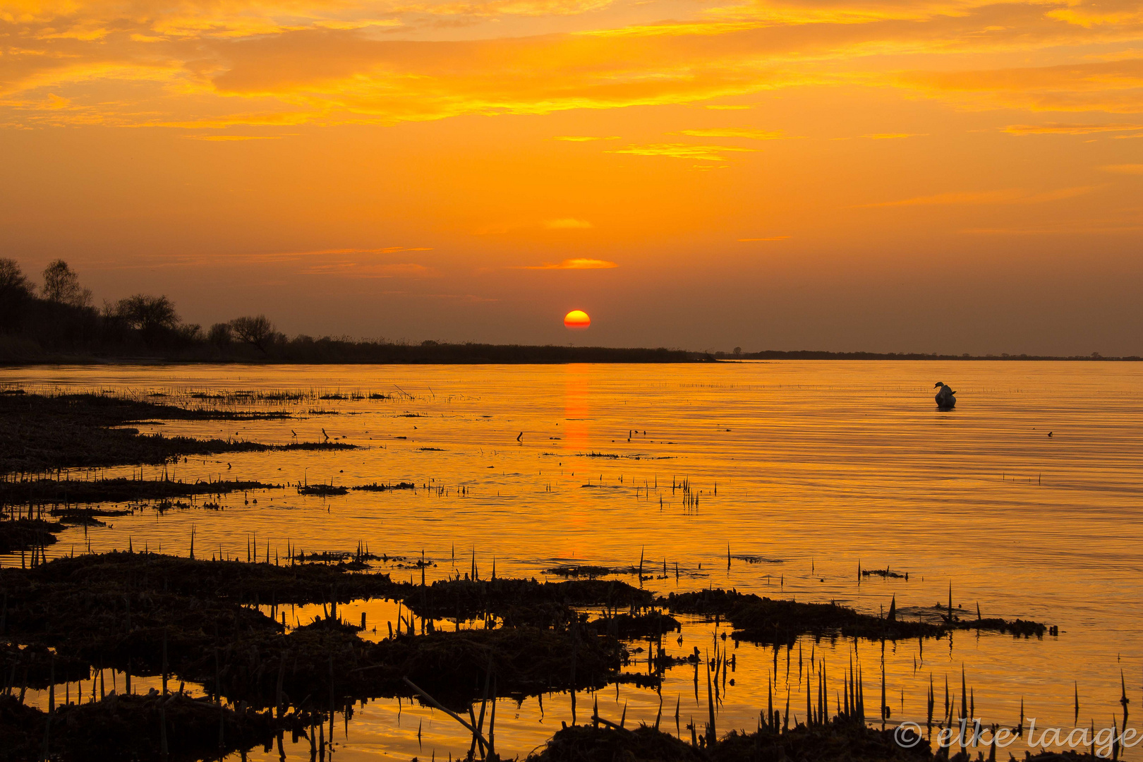 Abends am Grambiner Haff 4