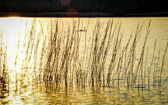 Abends am Groß Väter See