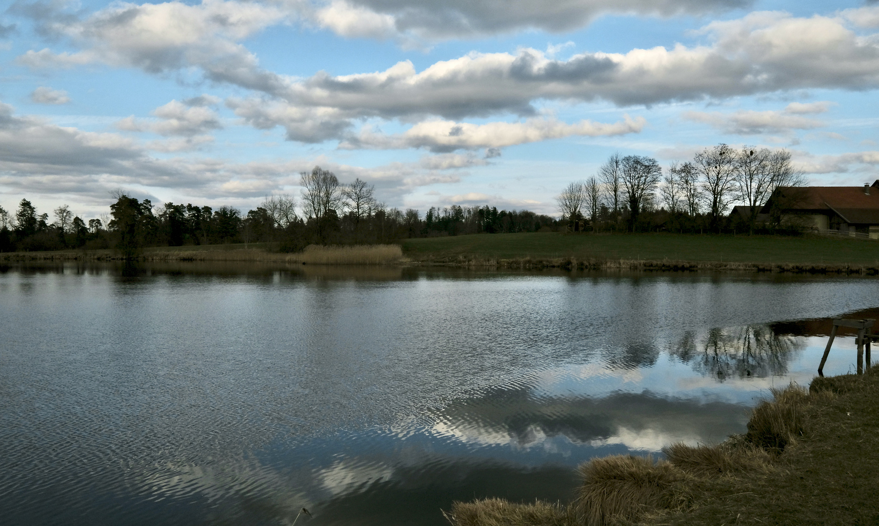 Abends am grossen Fischteich