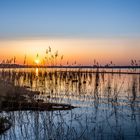 Abends am grossen Müggelsee